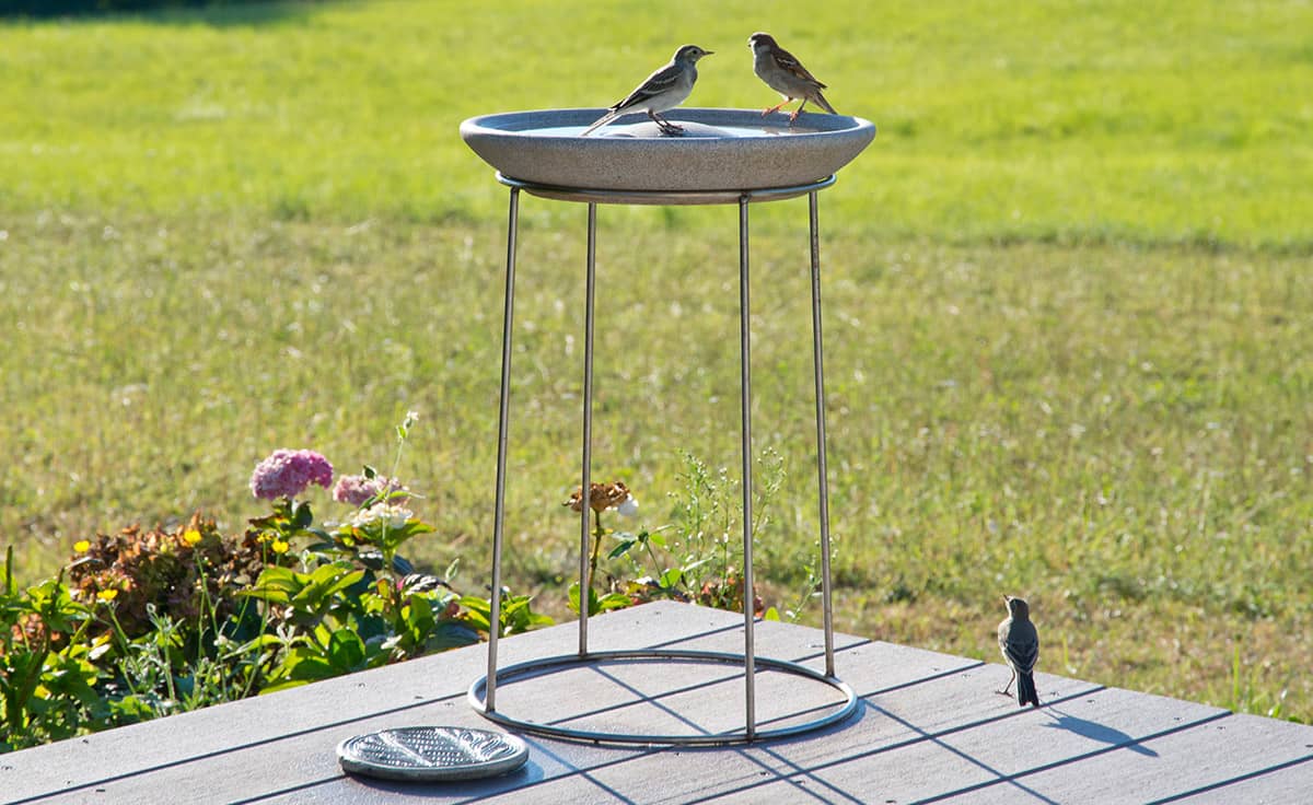 Vogeltränke Granicium® mit Ständer DENK Keramik