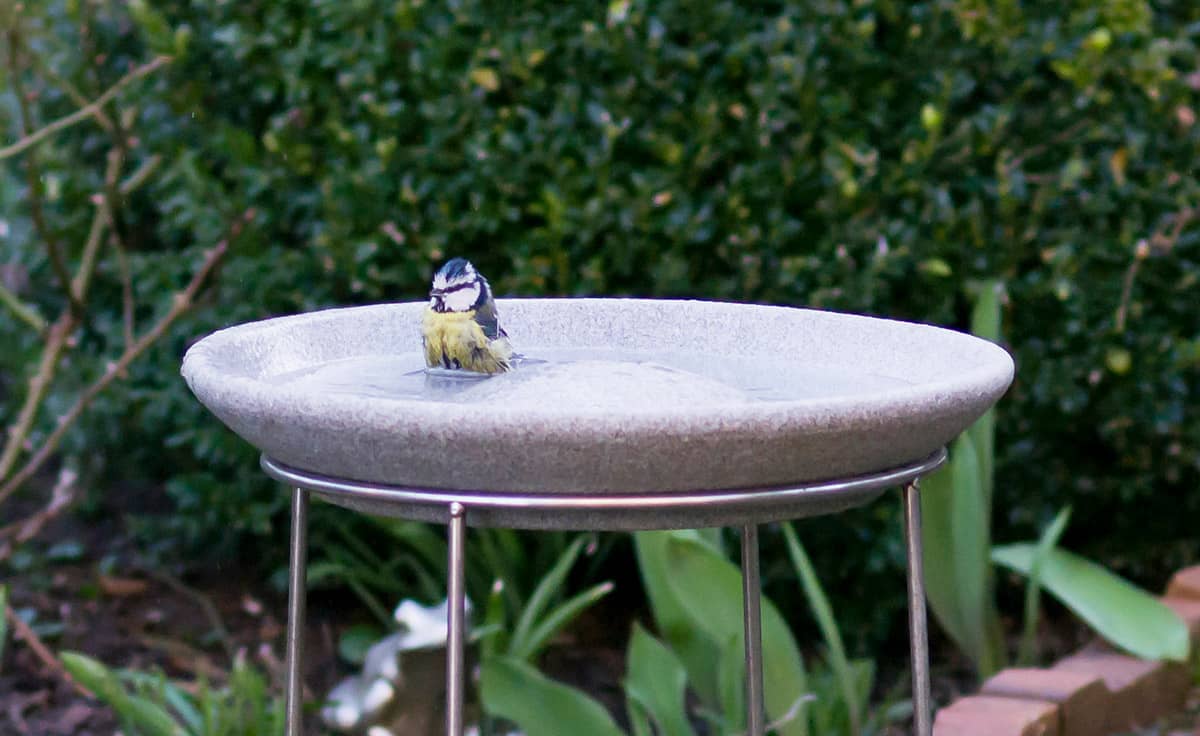 Vogeltränke Granicium® DENK Keramik