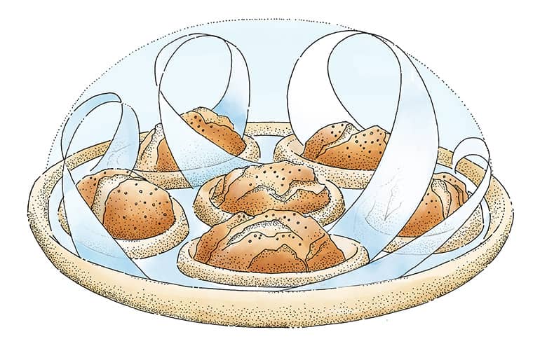 Backplatten | DENK Keramik